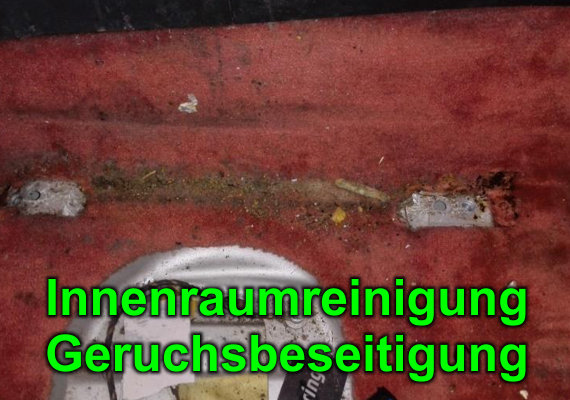 Innenraumreinigung trocken oder nass je nach Verschmutzung. Geruchsbeseitigung mit Ozon einfach und effektiv.<br>Zeitaufwand nach Verschmutzung - Kostenaufwand ab 69,-€